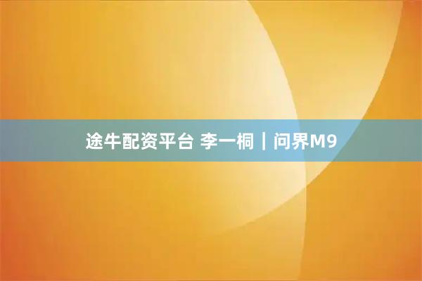 途牛配资平台 李一桐｜问界M9