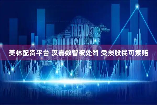 美林配资平台 汉嘉数智被处罚 受损股民可索赔